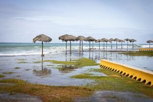 ocean acidification negatively impacts the marine life and the associated economic activities.