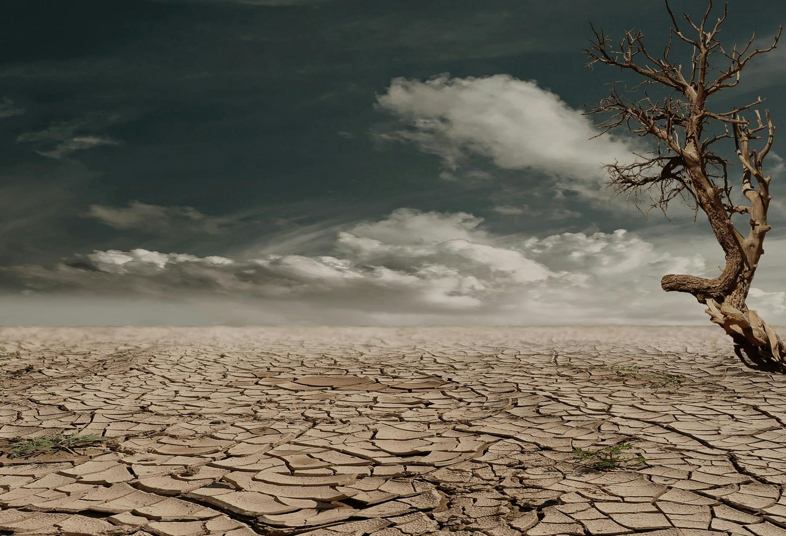 causes of Climate Change