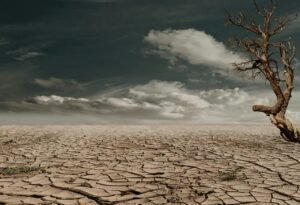 The changing weather patterns lead to frequent droughts.