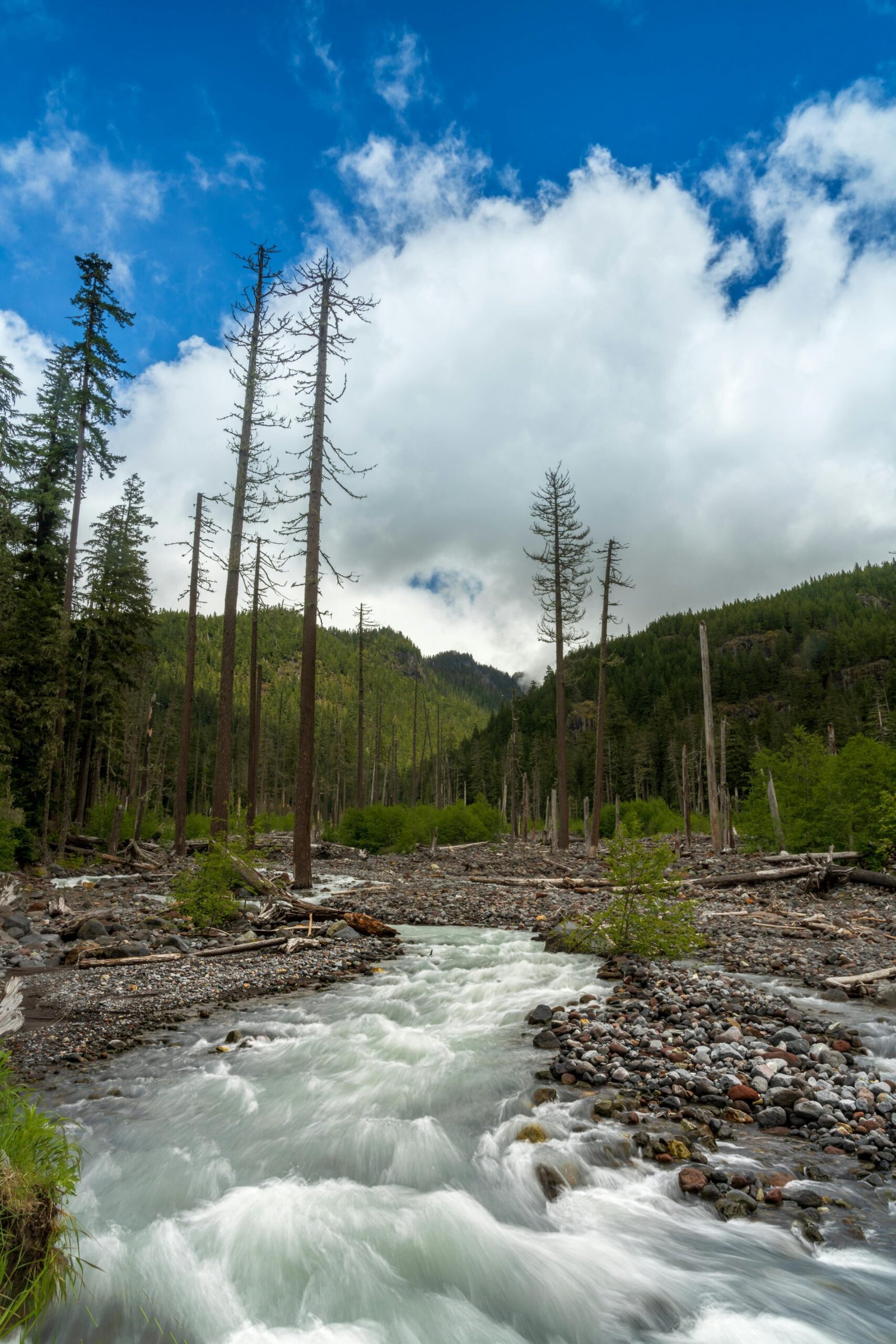 climate finance