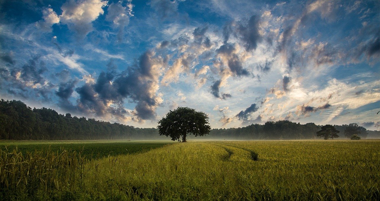 agriculture