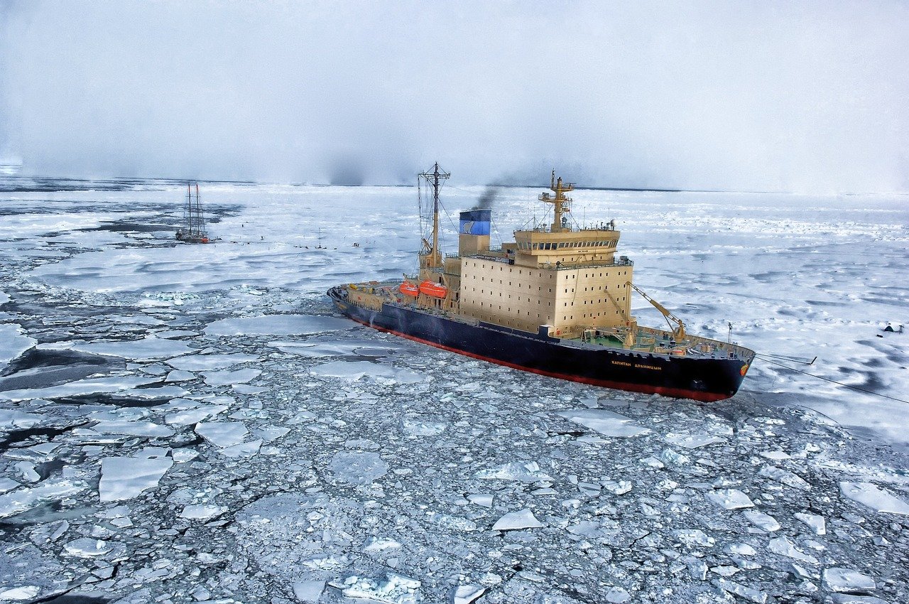 the arctic